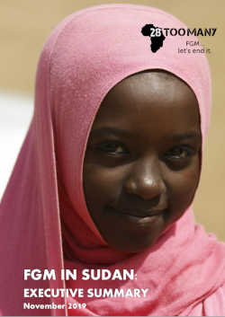 Executive Summary: FGM in Sudan (2019, English)